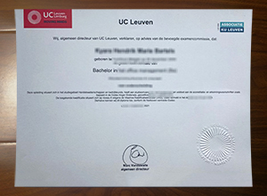 UC Leuven-Limburg diploma