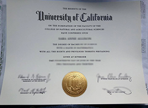 University of California Riverside diploma