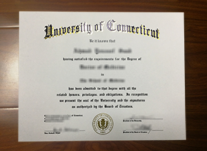 University of Connecticut degree