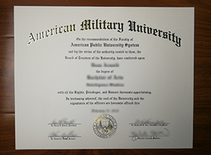 American Military University degree