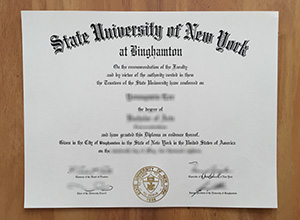 Binghamton University degree