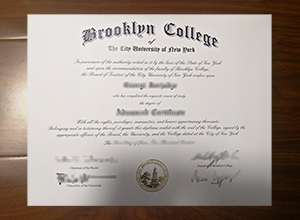 Brooklyn College degree