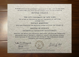 Hunter College degree