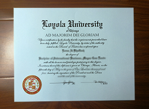 Loyola University Chicago degree