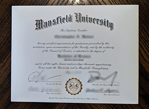 Mansfield University degree