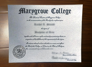 Marygrove College degree