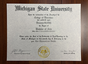 Michigan State University degree