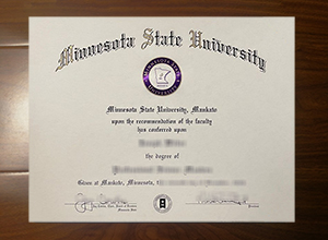 Minnesota State University degree