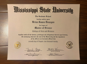 Mississippi State University degree