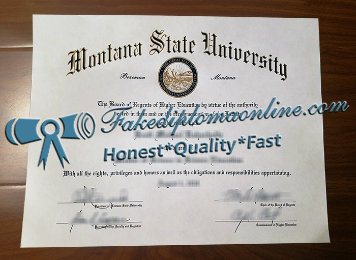 Montana State University degree