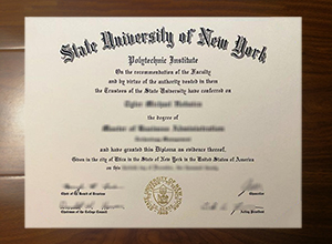 SUNY Polytechnic Institute degree