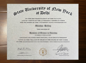 SUNY Delhi degree