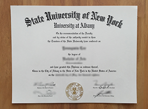 University at Albany degree