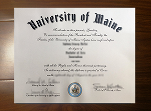 University of Maine degree