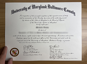 University of Maryland Baltimore County degree