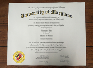 University of Maryland degree