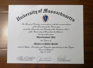 UMass Amherst degree