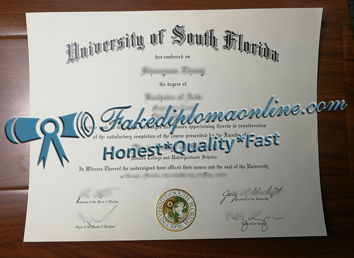 University of South Florida degree