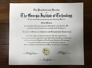 Georgia Institute of Technology degree