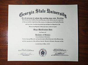 Georgia State University degree