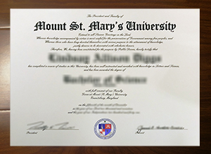 Mount St. Mary's University diploma