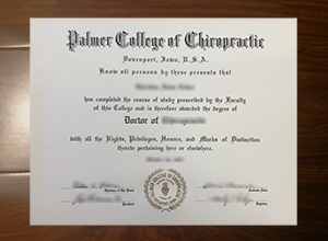 Palmer College of Chiropractic degree