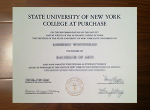 SUNY Purchase College degree