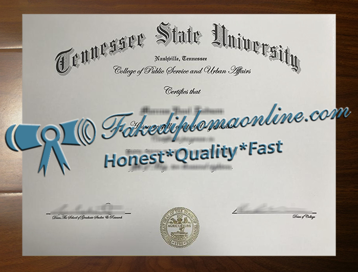 Tennessee State University degree