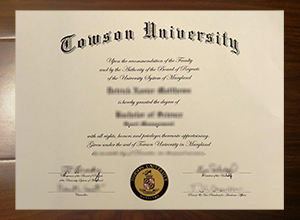 Towson University degree