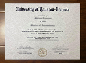 University of Houston-Victoria degree