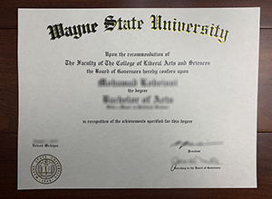 Wayne State University diploma