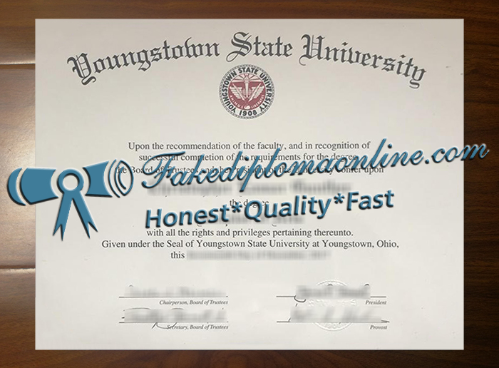 Youngstown State University degree