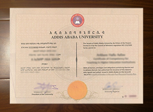 Addis Ababa University diploma