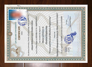 Ain Shams University diploma