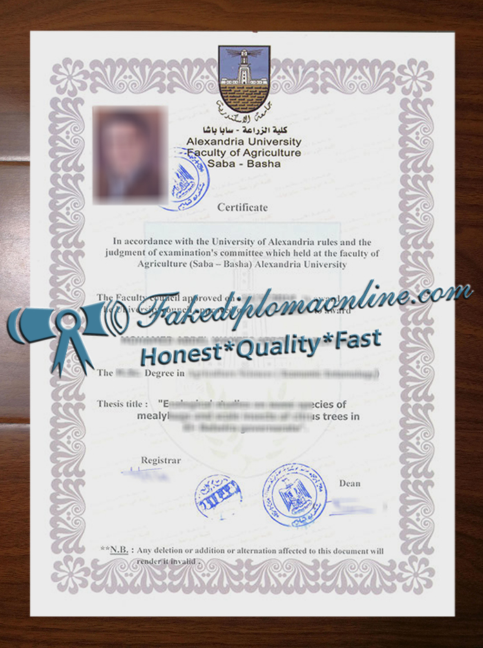 Alexandria University diploma