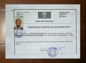 Bahir Dar University degree