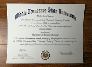 Middle Tennessee State University diploma