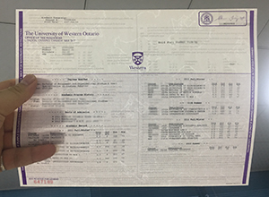 University of Western Ontario transcript