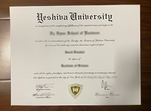 Yeshiva University degree