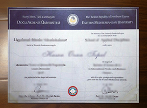 Eastern Mediterranean University degree