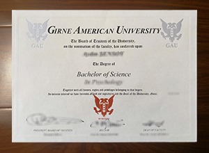 Girne American University degree