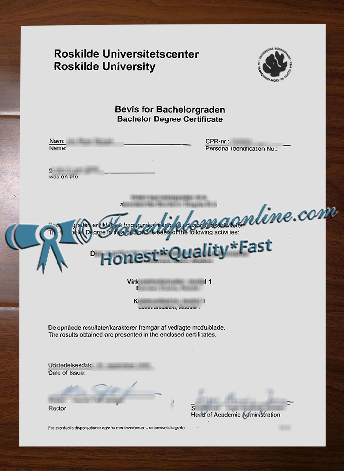 Roskilde University degree