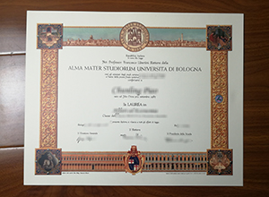 University of Bologna diploma