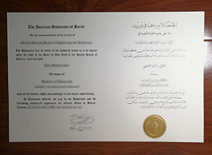 American University of Beirut diploma