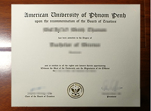 American University of Phnom Penh degree