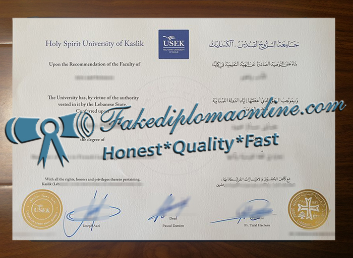 Holy Spirit University of Kaslik diploma