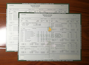 Rasmussen University transcript