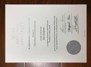 Seoul National University diploma