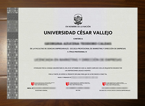 Universidad César Vallejo degree