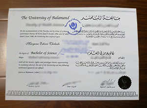 University of Balamand degree